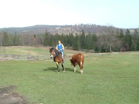 erdélyi lovarda, turizmus, szállás
